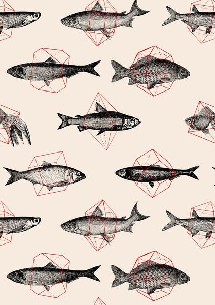 Photocircle Poster / Leinwandbild - Fish in Geometrics II