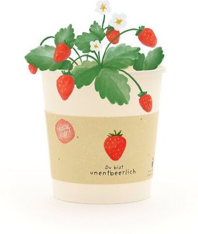 Die Stadtgärtner Erdbeer Anzuchtset als liebevolles Geschenk | Nachhaltige Geschenkidee für Geburtstage, Liebesbotschaft...