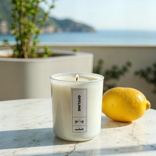 mahalo Duftkerze aus Sojawachs - OFFLINE - Wilde Freesie • Limone • Lavendel • Sandelholz