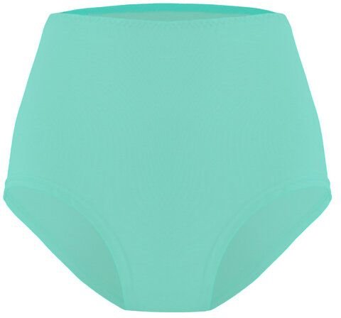 Frija Omina Bio Taillenslip Lille