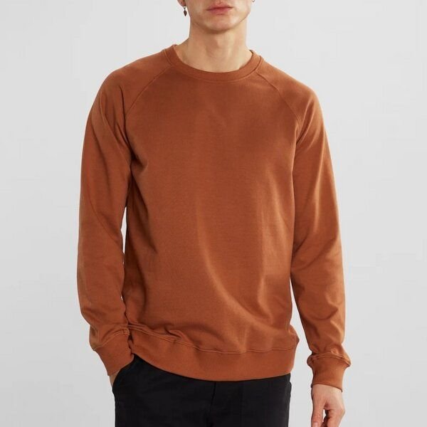 DEDICATED Sweatshirt Malmoe Base
