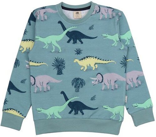 Kinder Sweatshirt GOTS-zertifiziert aus Bio-Baumwolle blaugrün mit Dinosaurier-Motiv – Walkiddy