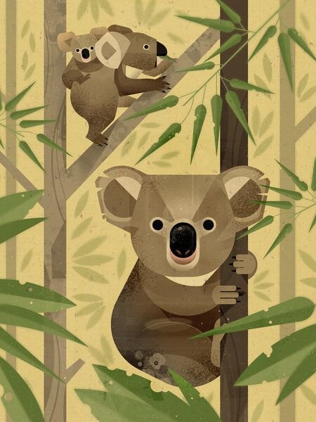 Photocircle Poster / Leinwandbild - Koalas