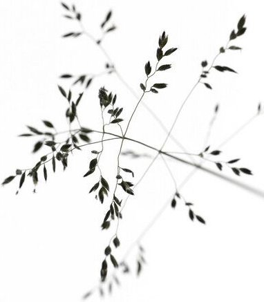 Photocircle Poster / Leinwandbild - A delicate moment