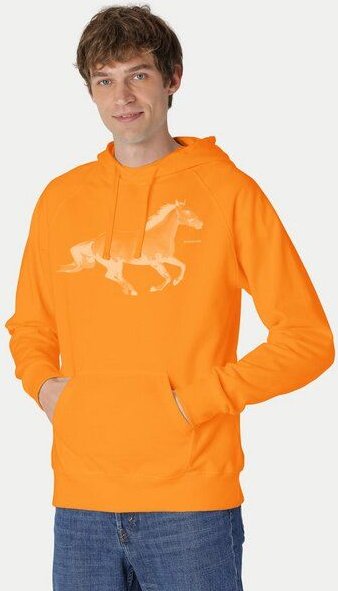 Peaces.bio - handbedruckte Biomode Bio-Herren-Kapuzensweater Horsepower