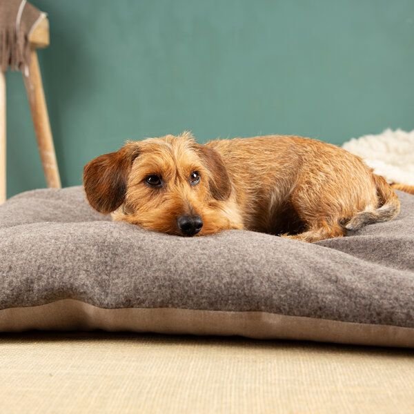 nahtur-design Dinkelkissen Für Hunde | natürliches Hundekissen