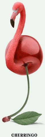 Photocircle Wandbild / Kunstdruck / Poster / Leinwand - Cherringo