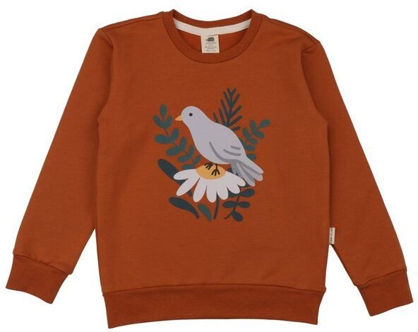 Kinder Sweatshirt GOTS-zertifiziert aus Bio-Baumwolle, braun mit Vogelmotiv, langarm, weicher Rundhalsausschnitt – Walki...