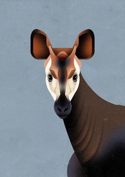 Photocircle Poster / Leinwandbild - Okapi