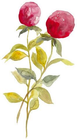 Photocircle Poster / Leinwandbild - Pinke Beeren