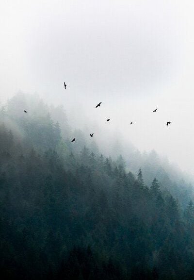 Photocircle Poster / Leinwandbild - Foggy Morning 4