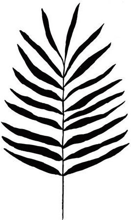 Photocircle Poster / Leinwandbild - Mantika Skandi Farn