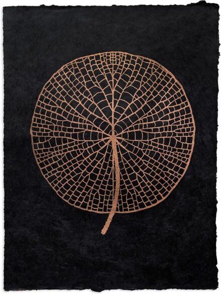 Veskor Cassiopeia VICTORIA AMAZONICA Seerosenblatt Linoldruck | 37 x 50 cm | Kupfer auf Schwarz