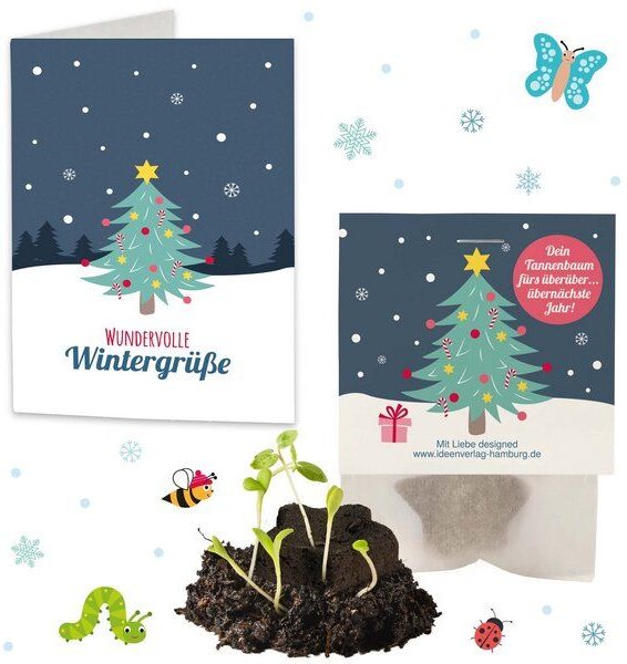 Ideenverlag Hamburg 6x Saatsterne „Tannenbaum“ mit Grußkarte | Dein Tannenbaum fürs überüberübernächste Jahr – nachhalti...