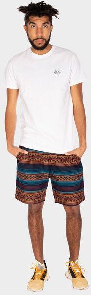 Iriedaily Vintachi Short