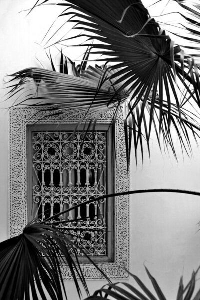 Photocircle Poster / Leinwandbild - ORIENT palms & garden dreams - black & white edition