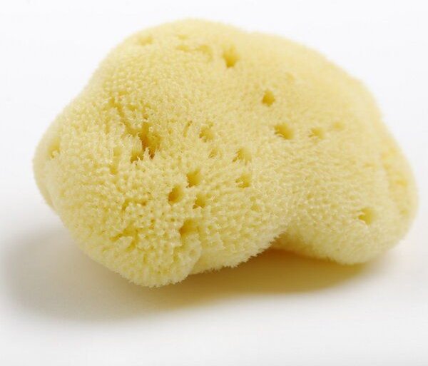 Kulmine Menstruationsschwamm • 3 Größen