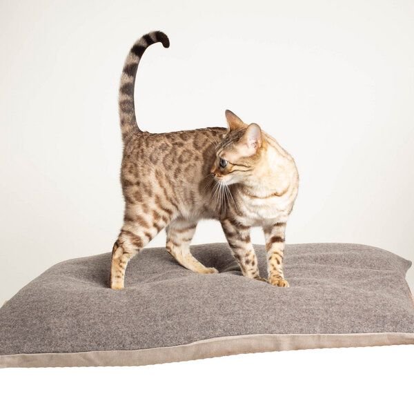 nahtur-design Katzenkissen mit Dinkelfüllung kbA | wohltuend und natürlich