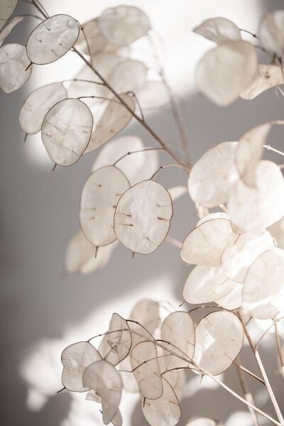 Photocircle Poster / Leinwandbild - Last Summer 9