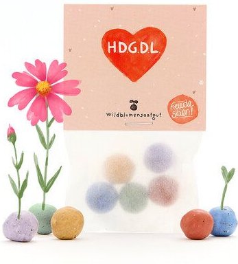 Die Stadtgärtner 5 bunte Blumenmurmeln mit Wildblumensaatgut im Tütchen | „HDGDL“-Herz für beste Freundin, Valentinstag ...