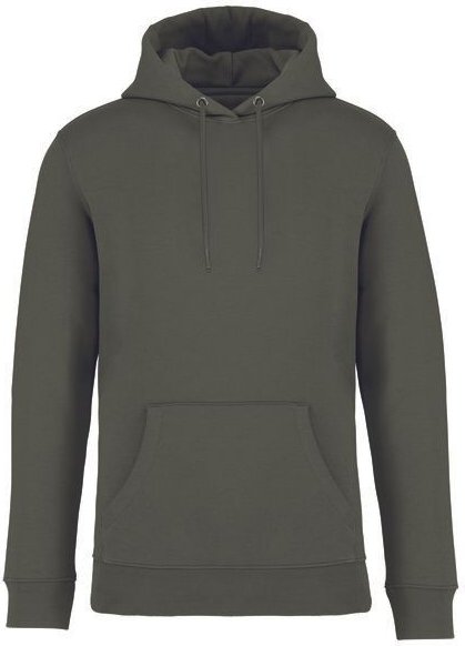 Brandless Basic Bio Hoody Nr. 4 350g/m² XXS - 4 XL (slim fit)