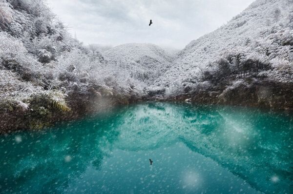Photocircle Poster / Leinwandbild - Snowy Bamboo Forest