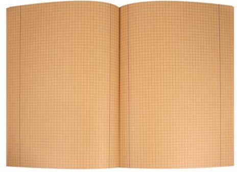 pandoo Schulhefte aus 100% Bambuszellstoff | kariert oder liniert