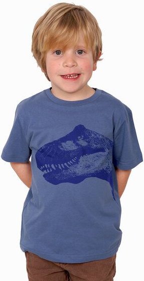 HANDGEDRUCKT "T-Rex" Kinder T-Shirt reine Bio Baumwolle (kbA)