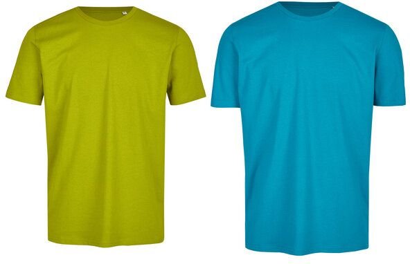 Brandless Basic Bio T-Shirt (Men Nr.3 ) Doublepack GOTS