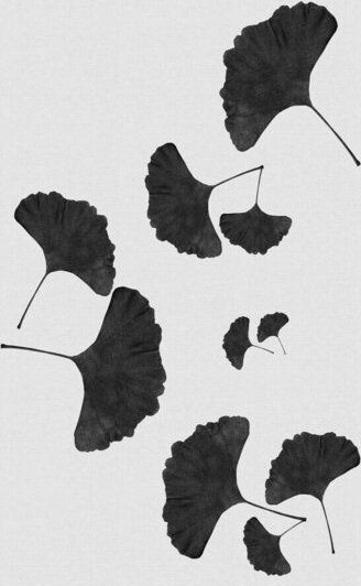 Photocircle Wandbild / Kunstdruck / Poster / Leinwand - Ginkgo Leaf Black & White I