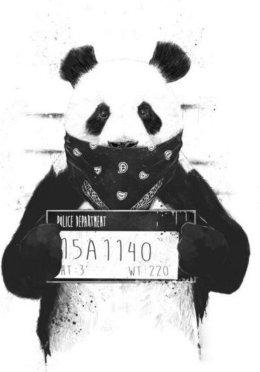 Photocircle Poster / Leinwandbild - Bad panda