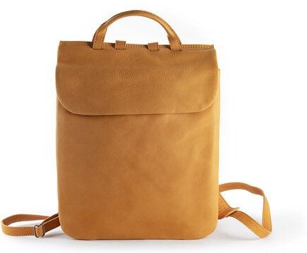 Harold's CHS5 backpack