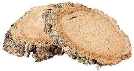 Kork-Deko Korkrinde: Baumscheibe Kork (2 Stück)