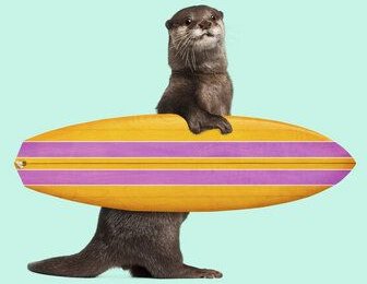 Photocircle Wandbild / Kunstdruck / Poster / Leinwand - Surfing Otter