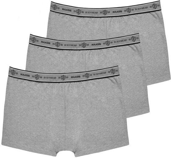 Haasis Bodywear Herren Pants 3er Pack ohne Eingriff, Single Jersey,