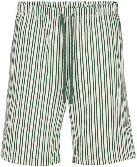 Conservandum Herren Shorts