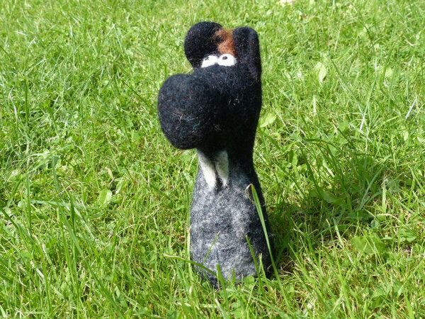 short'n'pietz Wildschwein als Filz Eierwärmer