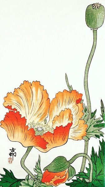 Photocircle Poster / Leinwandbild - Vögel und Pflanzen von Ohara Koson