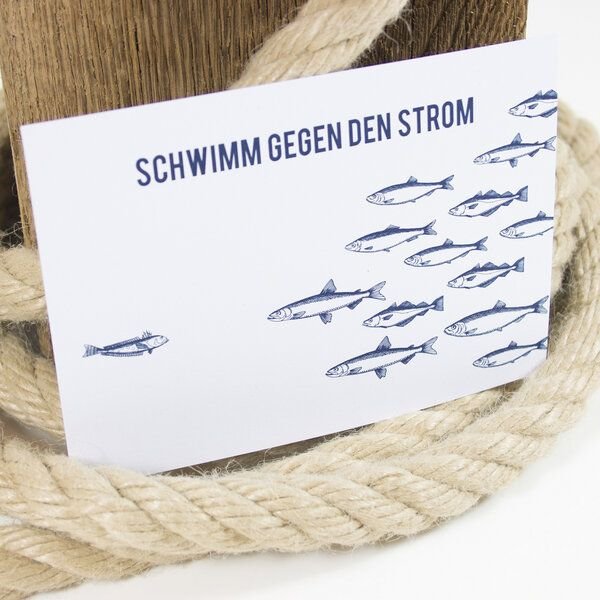 Bow & Hummingbird Postkarte Gegen den Strom