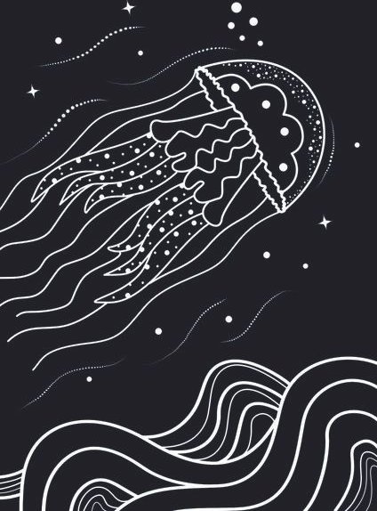 vis wear Qualle Poster