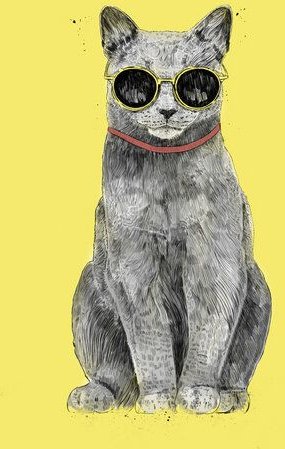 Photocircle Poster / Leinwandbild - Summer Cat