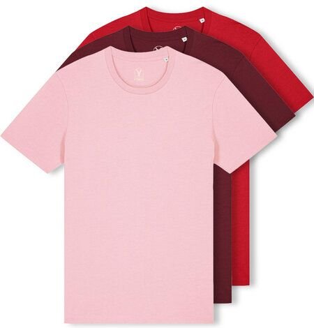 YTWOO 3er Pack Iconic Basic Unisex T-Shirt aus 100% Biobaumwolle| Viele Farbkombinatioben|Fair|Nachhaltig