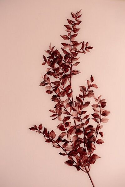 Photocircle Poster / Leinwandbild - Last Summer 18