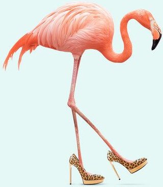 Photocircle Wandbild / Kunstdruck / Poster / Leinwand - Fancy Flamingo