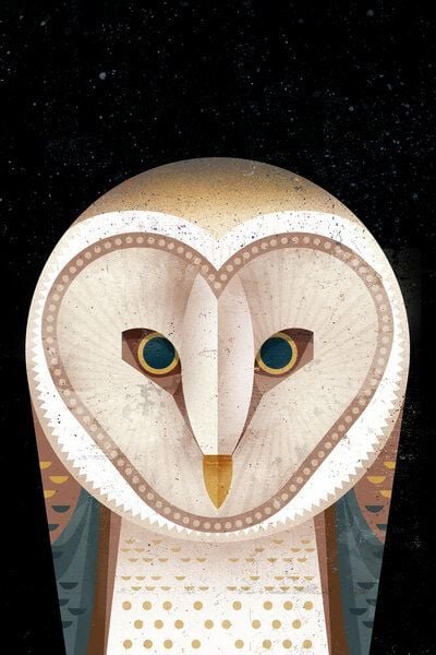 Photocircle Poster / Leinwandbild - Schleiereule