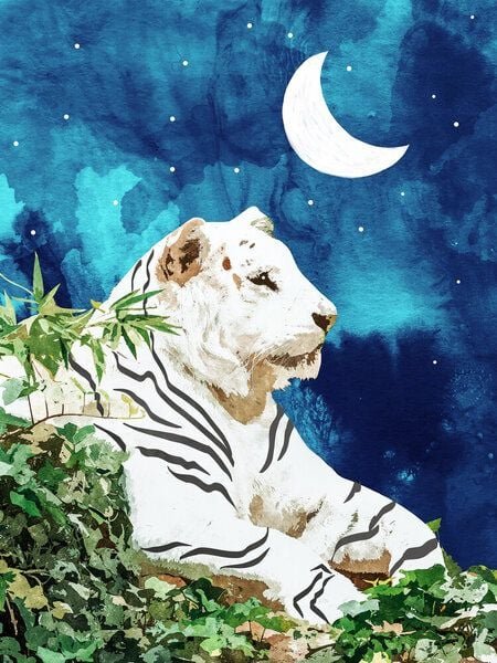 Photocircle Poster / Leinwandbild - Moonbath