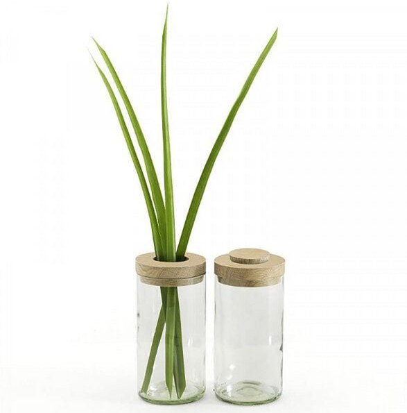 Vase & Dose verschiedene Farben (side by side)