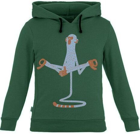 CORA happywear Kinder Sweater aus Baumwolle "Ivo" | grün mit Druck