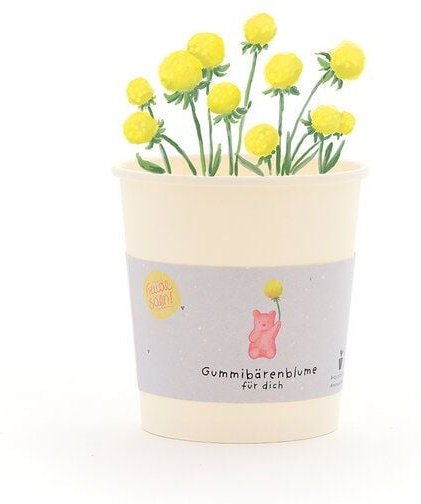 Die Stadtgärtner Gummibärenblumen Anzuchtset als lustiges Geschenk | Nachhaltige Geschenkidee für Geburtstage, Aufmunter...