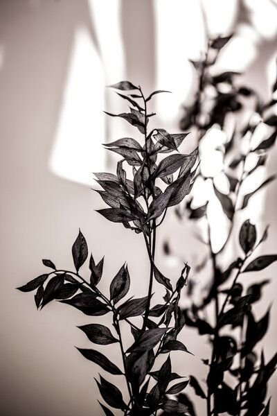 Photocircle Poster / Leinwandbild - Last Summer 14